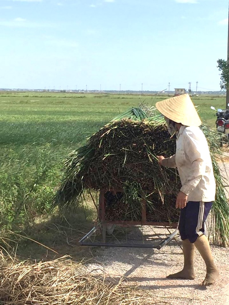 Làng chiếu An Xá: Du lịch Quảng Bình