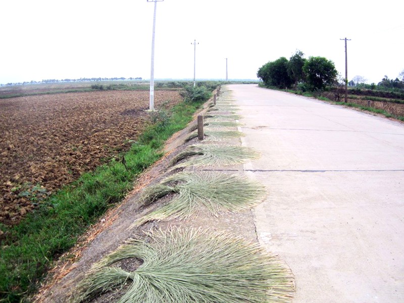 Làng chiếu An Xá - Du lịch Quảng Bình