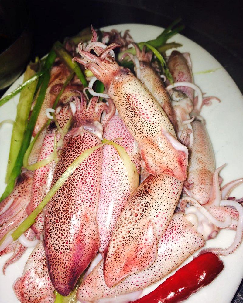 Mực nhảy Quảng Bình