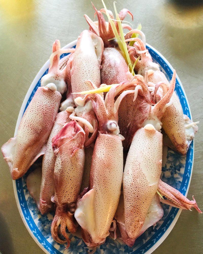 Mực nhảy Quảng Bình