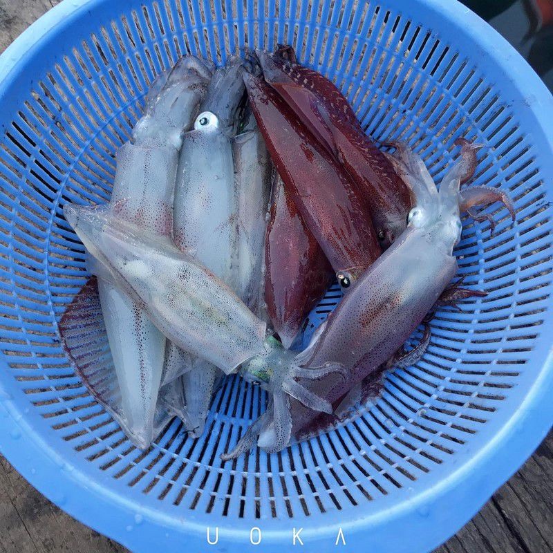 Mực nhảy Quảng Bình
