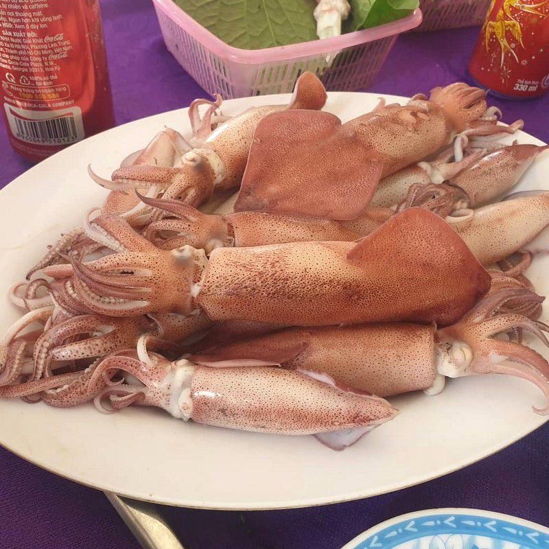 Mực nhảy Quảng Bình