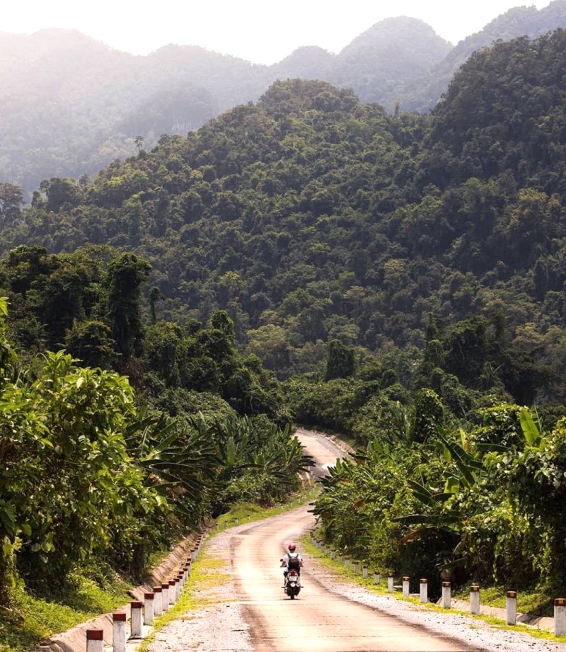 Thác Gió Vườn Thực Vật Phong Nha