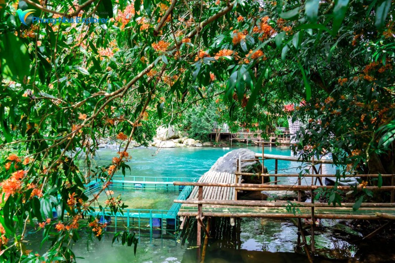 Suối Nước Moọc mùa hoa vàng anh