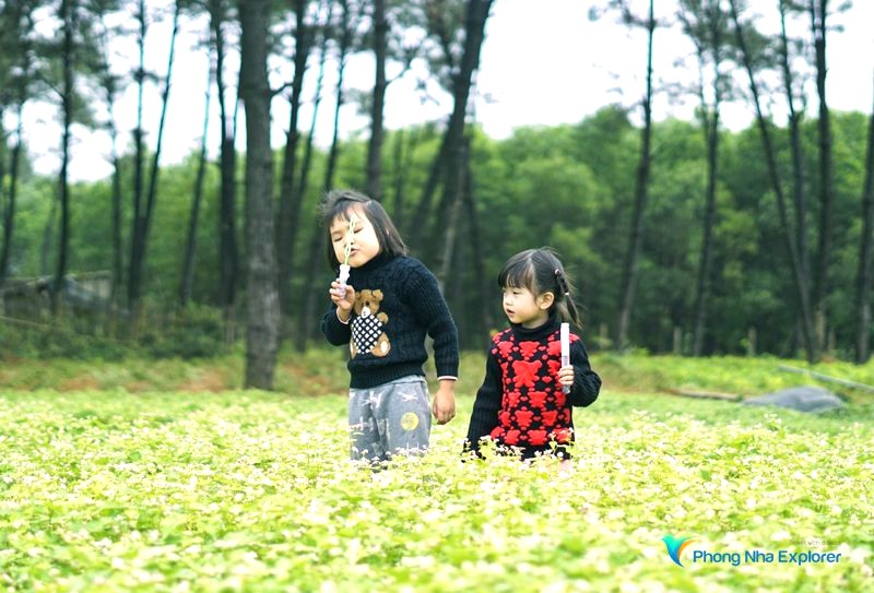 Nông trại An Mã