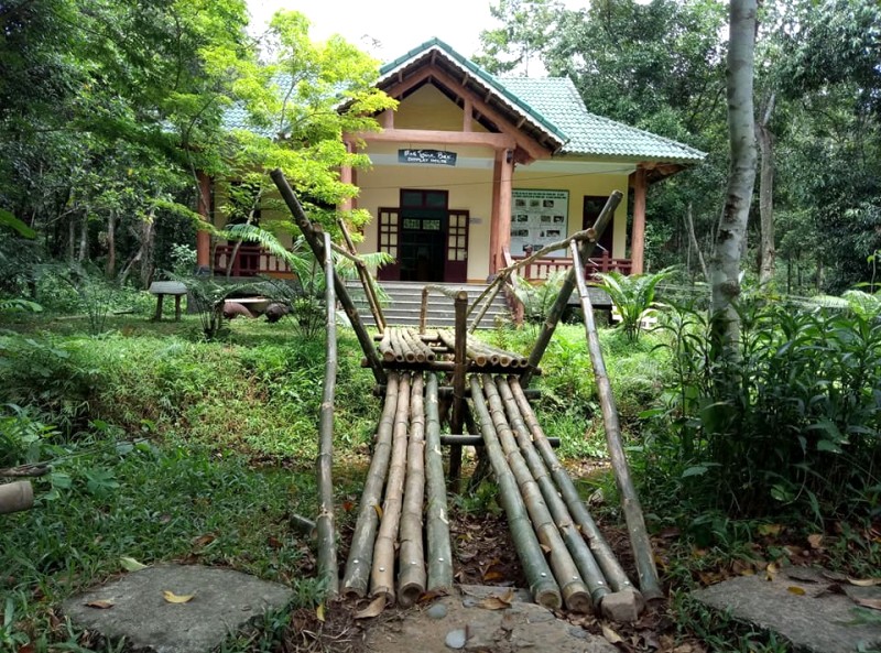 Thác gió Vườn Thực Vật
