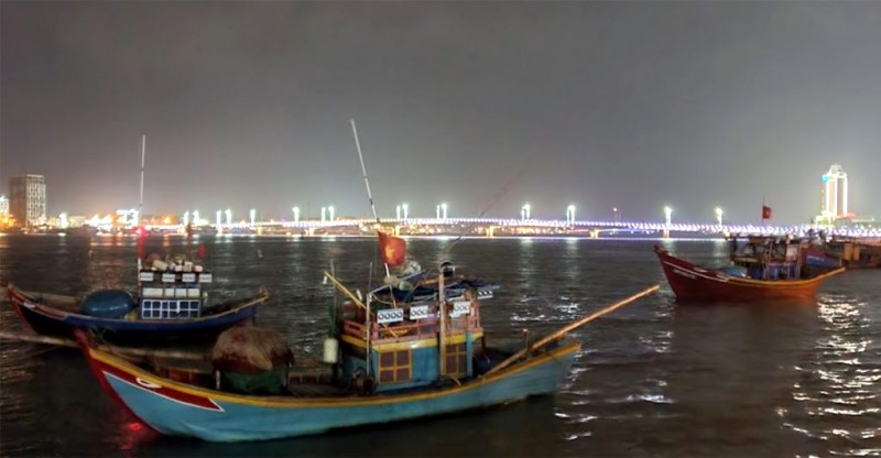 Câu mực đêm Nhật Lệ: trải nghiệm khó quên!