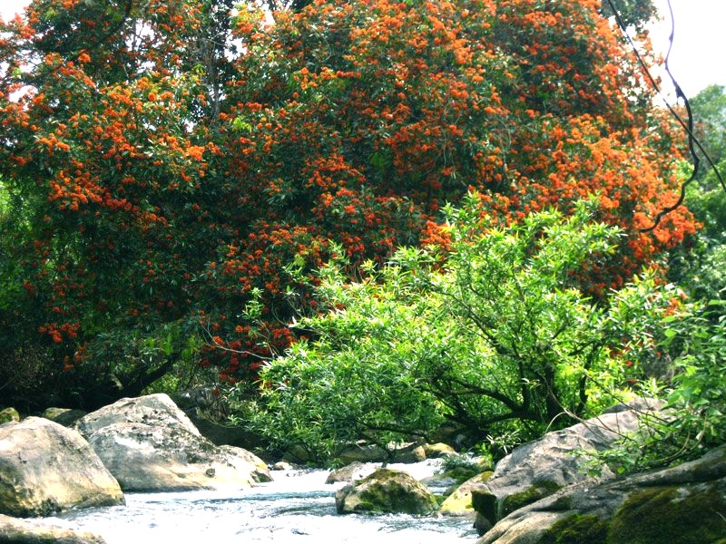 Du lịch Quảng Bình tháng 3