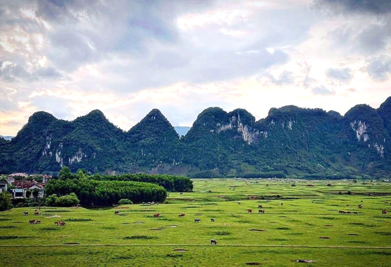 Du lịch thông minh theo thời tiết