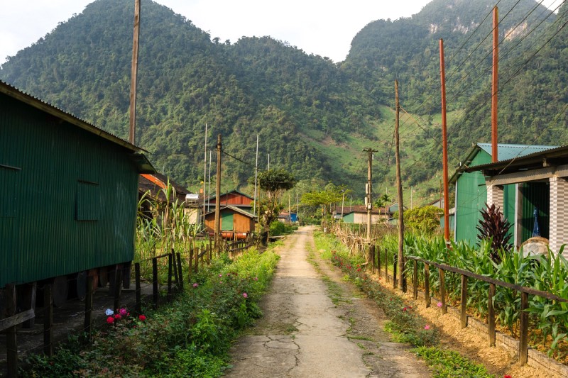 Bức tranh thanh bình.