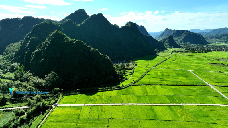 Xanh mướt làng quê Thạch Hóa.