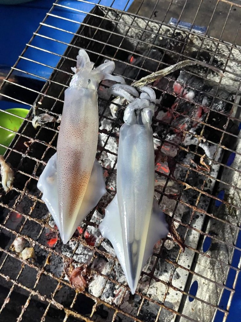 Câu mực đêm Nhật Lệ: Phiêu lưu cùng ngư dân!