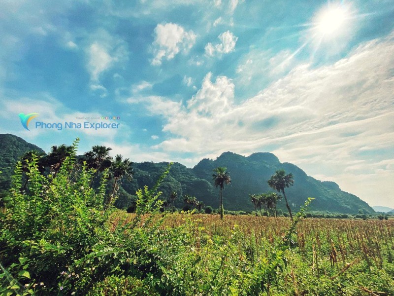 Bình yên Vọoc gáy trắng Tuyên Hóa