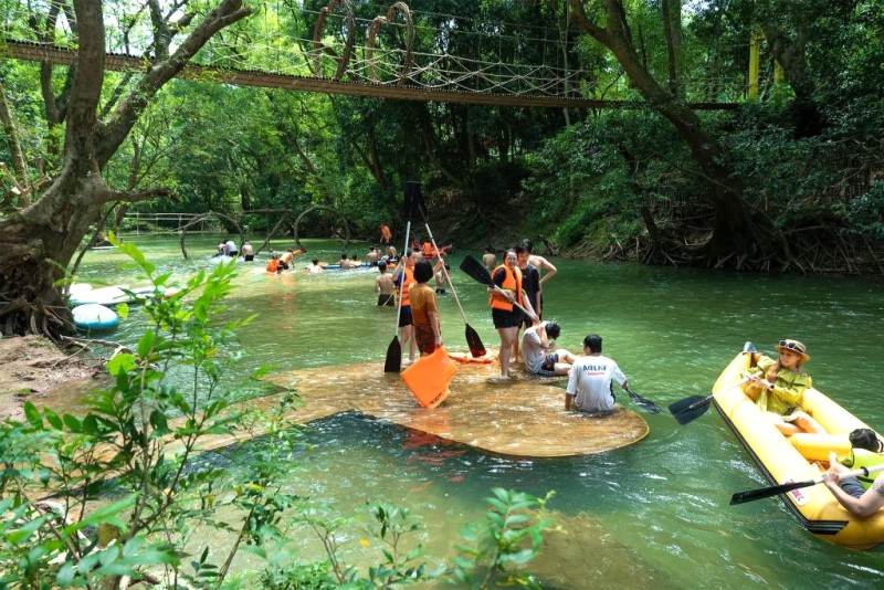 Phiêu lưu cây nước hấp dẫn.