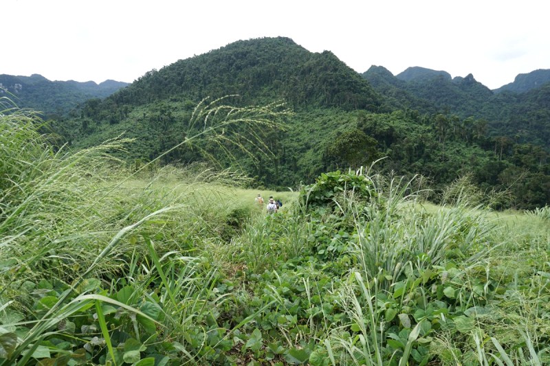 Trekking Phong Nha Kẻ Bàng: Hướng dẫn & Kinh nghiệm