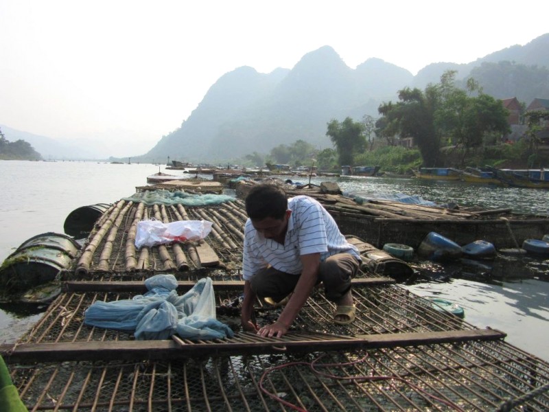 Thưởng thức cá chình Phong Nha Kẻ Bàng.