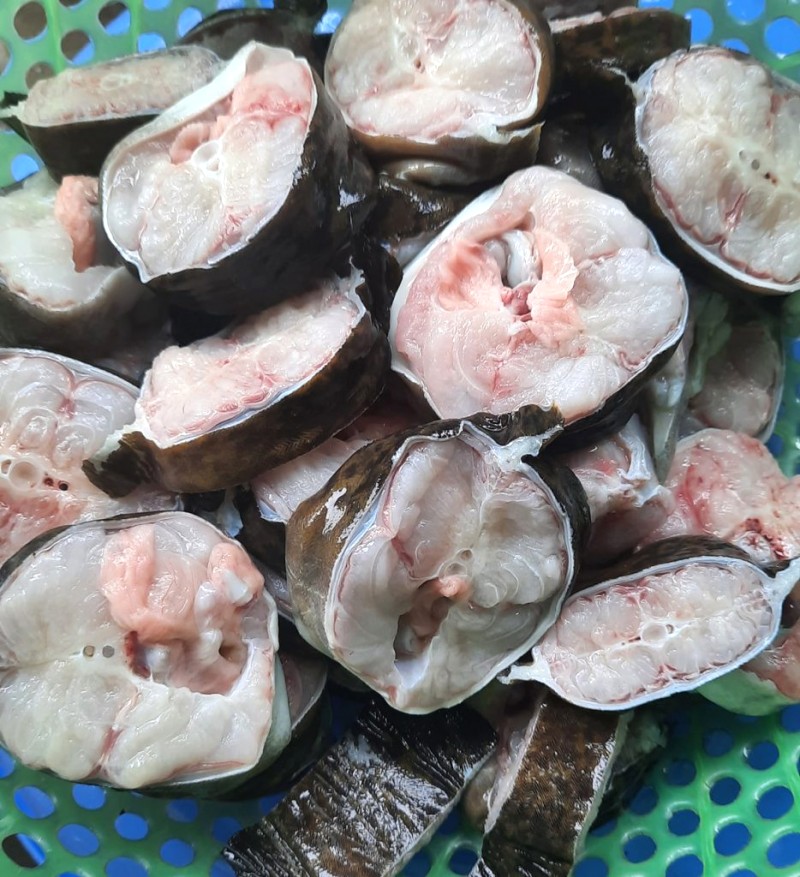 Thưởng thức cá chình Phong Nha Kẻ Bàng.