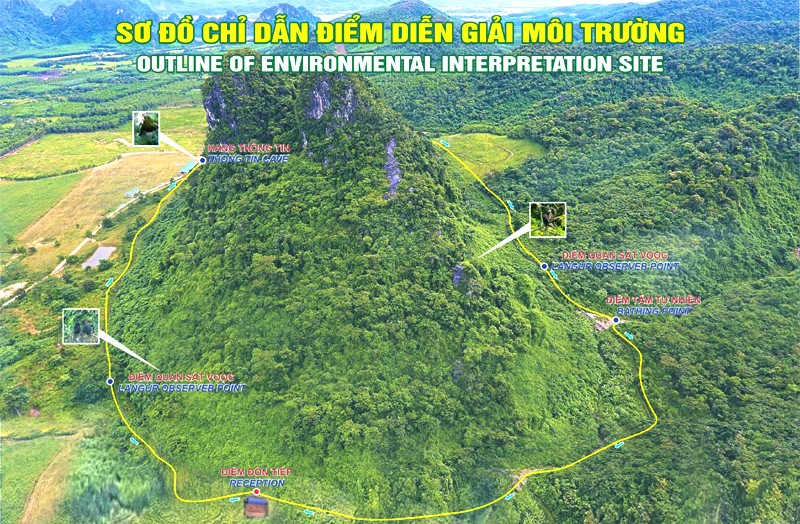 Núi Đôi Phong Nha