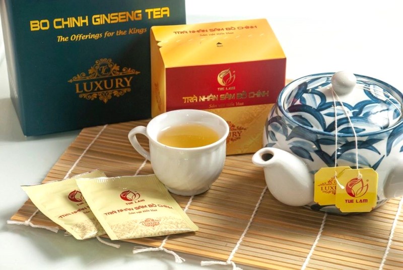 Sâm Bố Chính: Đặc sản Quảng Bình, tiến vua.