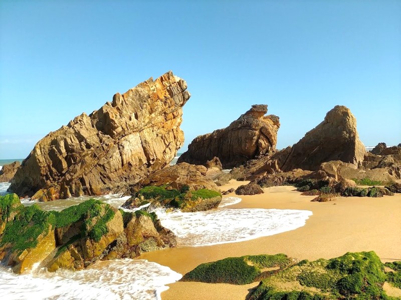 Biển Đá Nhảy Quảng Bình