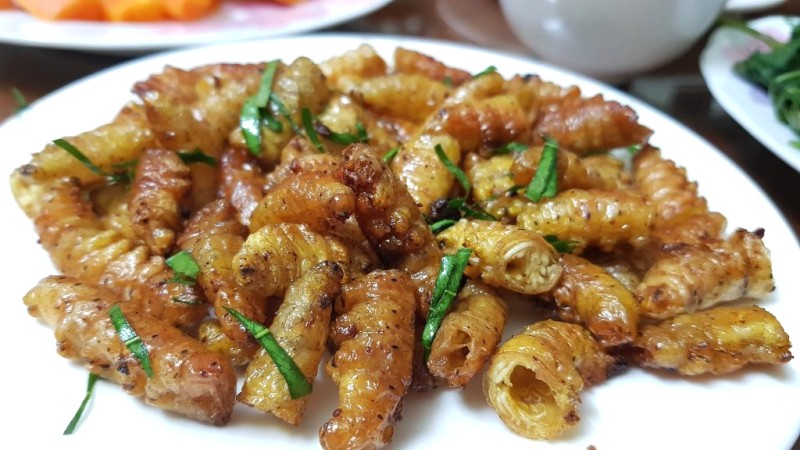 Món ngon vùng cao Quảng Bình: Nhộng tằm lá sắn.