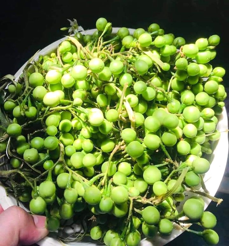 Cà Lào xào mỡ lợn - đặc sản Quảng Bình.