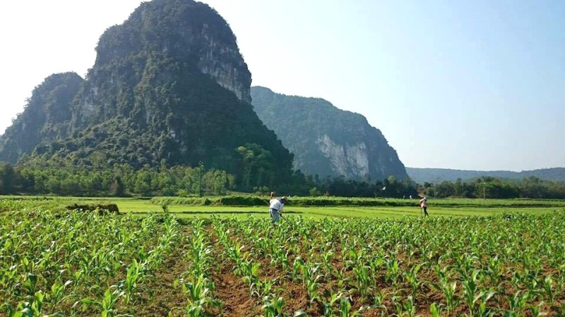 Di tích Đình Kim Bảng & Hang Lèn Cây Quýt, Minh Hóa, Quảng Bình