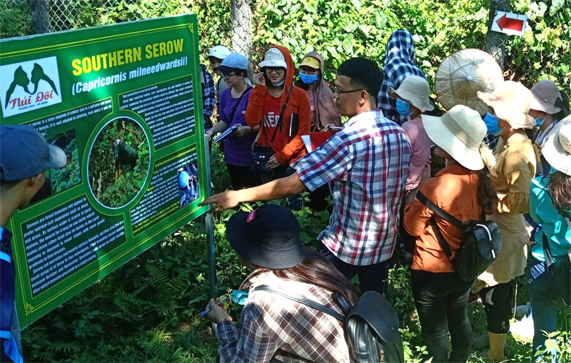 Núi Đôi Phong Nha