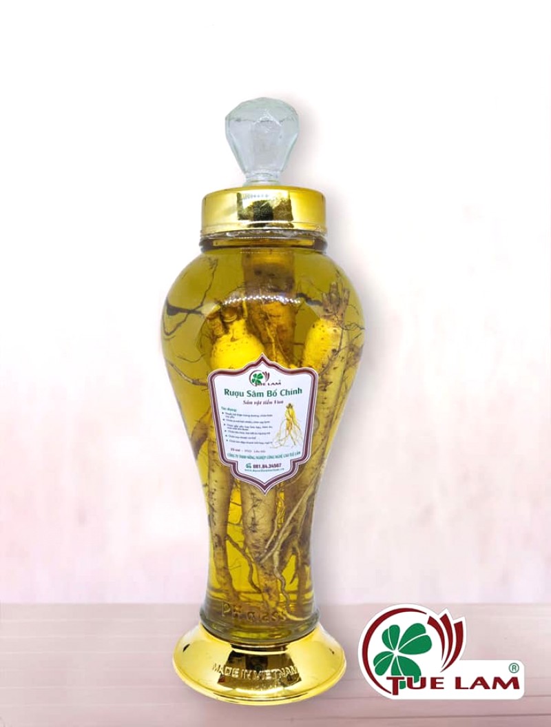 Sâm Bố Chính - Đặc sản Quảng Bình