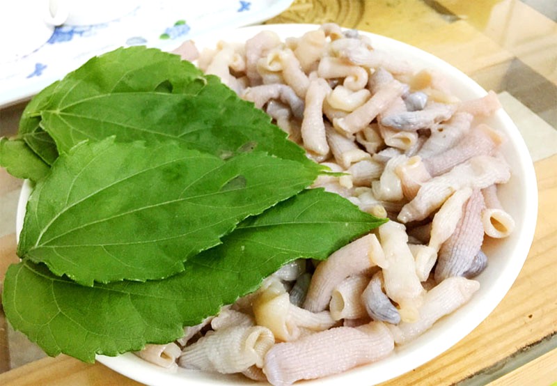Sá sùng Quảng Bình - Đặc sản thơm ngon