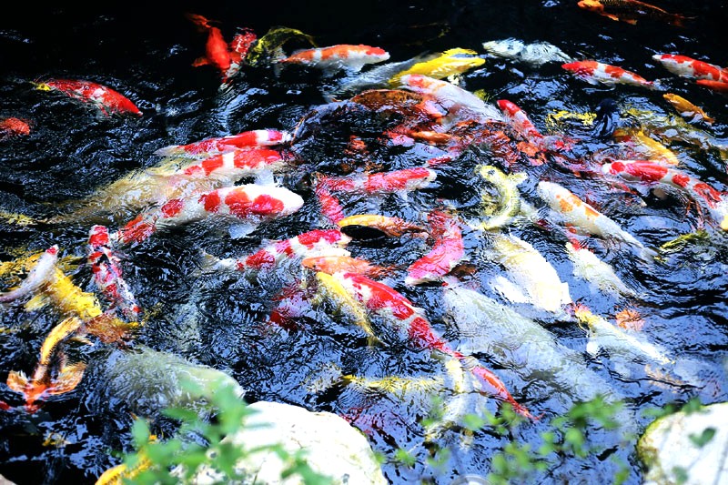 Quán Cafe đẹp Quảng Bình