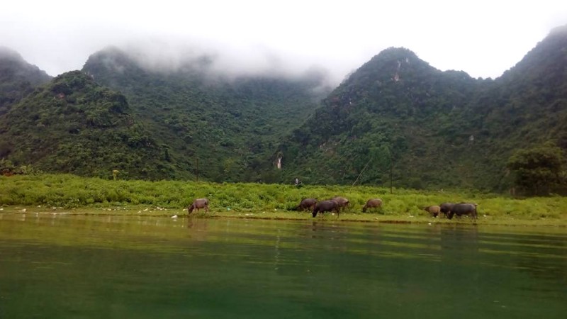 Du lịch Quảng Bình tháng 11: Phong Nha lý tưởng?