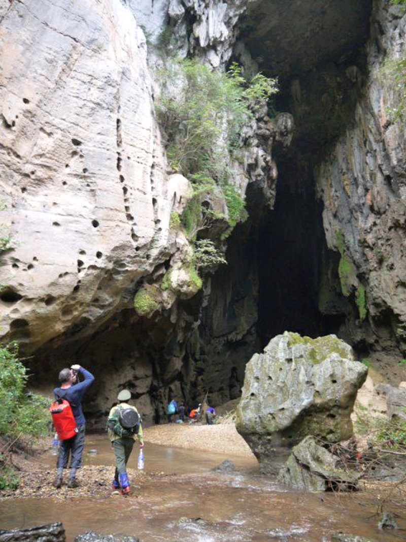 Phong Nha - Kẻ Bàng: Kỳ quan thiên nhiên.