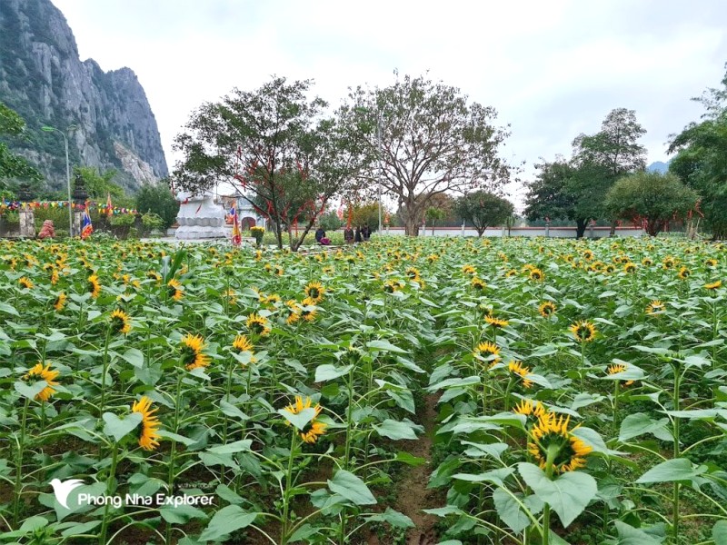 Miếu Bà - Đền Tam Thượng (Quảng Bình)