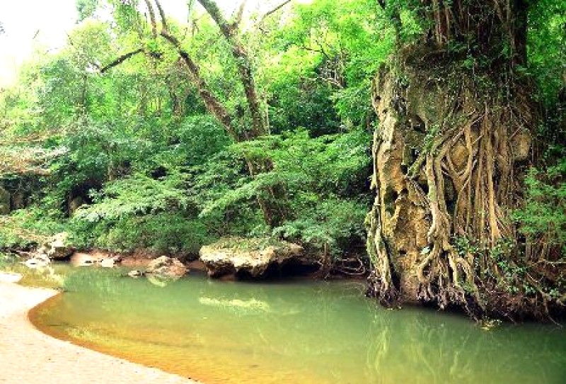 Phong Nha-Kẻ Bàng: Kỳ quan địa chất