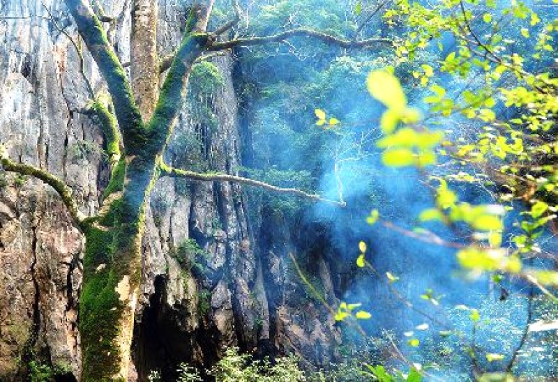 Phong Nha-Kẻ Bàng: Kỳ quan thiên nhiên