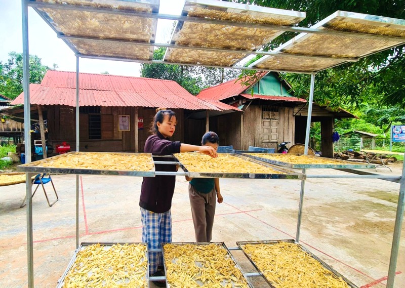 Măng rừng Cà Roòng - Đặc sản Quảng Bình