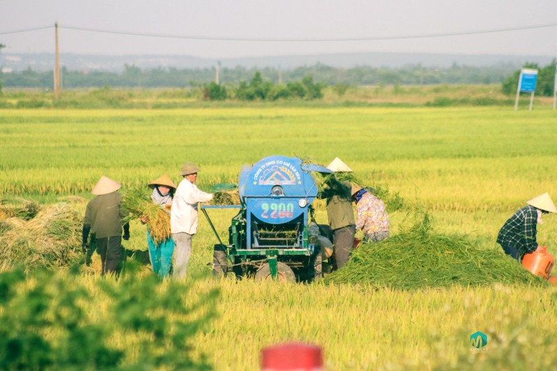 Khám phá Quảng Bình - Di sản thiên nhiên hùng vĩ.
