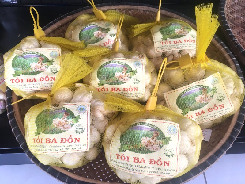 Tỏi Quảng Minh Ba Đồn: Đặc sản Quảng Bình.
