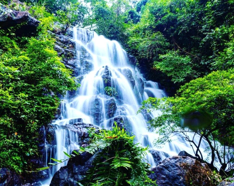 Khám phá đa dạng sinh học.