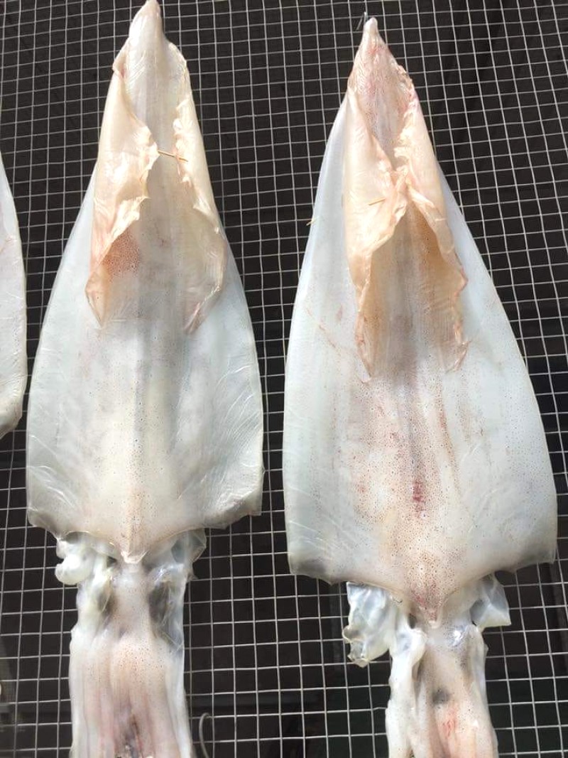 Bí quyết chọn mực khô Quảng Bình ngon