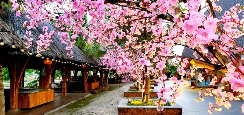 Hội chợ Xuân Everland Đồng Hới