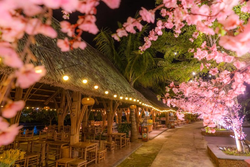 Hội Chợ Xuân Everland Đồng Hới