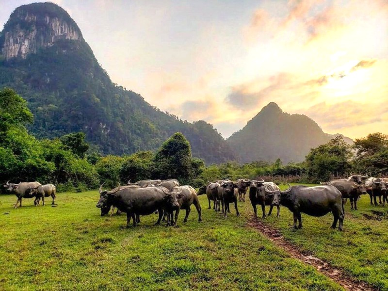 Khám phá 17 điều thú vị về Quảng Bình!