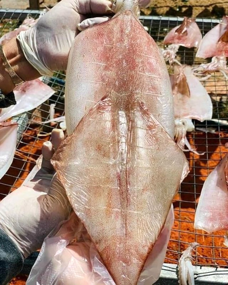 Mực một nắng Quảng Bình