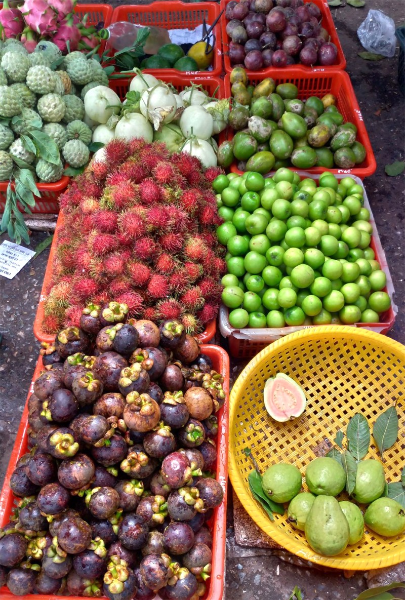 Chợ hải sản Quảng Bình