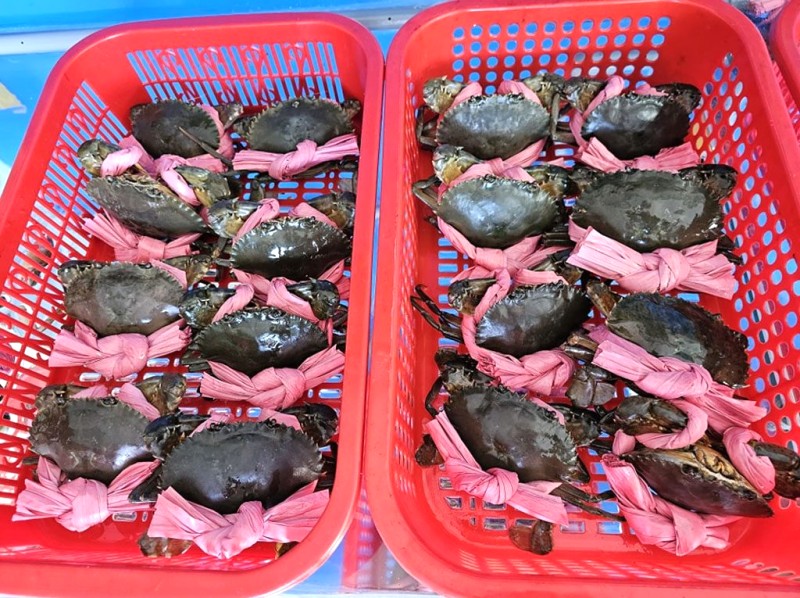 Cua đồng Quảng Bình