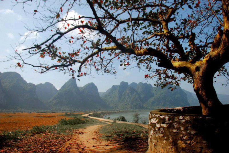 Lệ Sơn: Hương vị độc nhất Quảng Bình