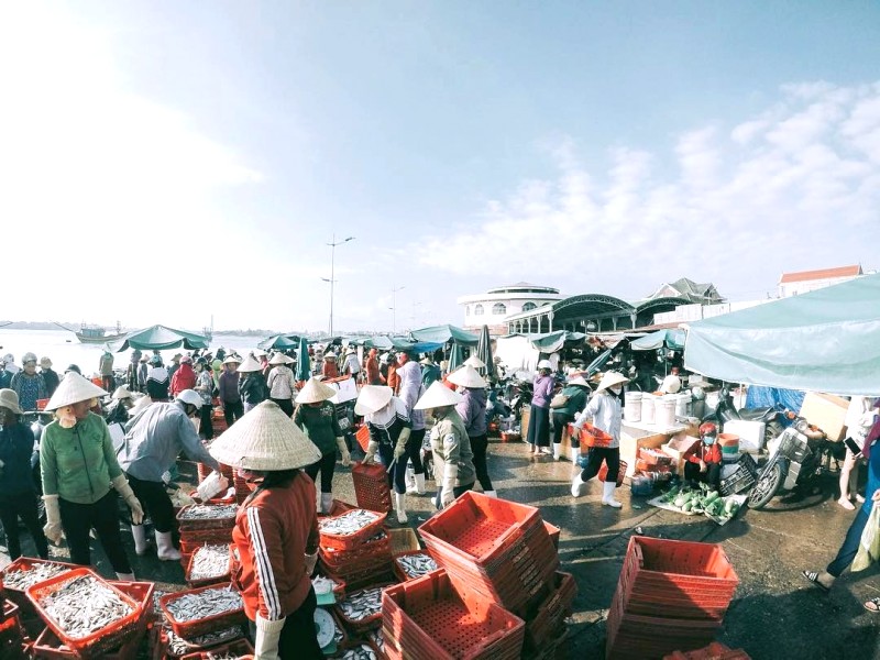 Hải sản tươi ngon Đồng Hới.