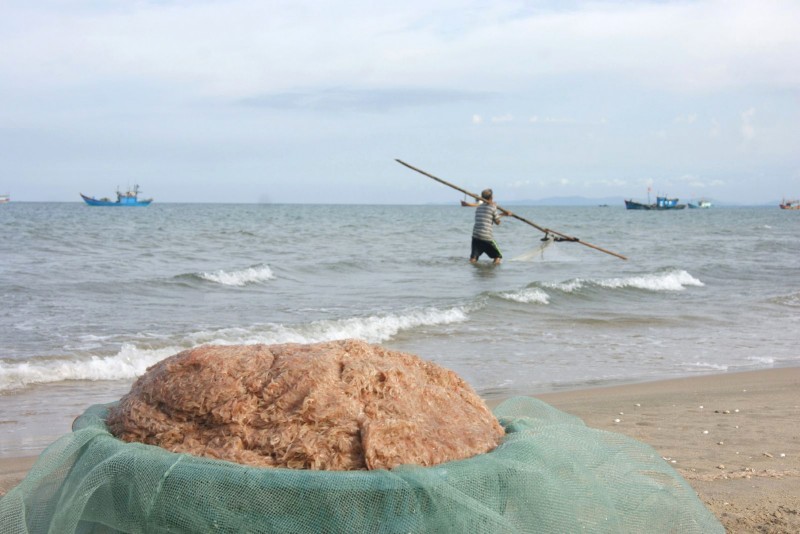 Mắm ruốc Quảng Bình: Quà quê đậm vị